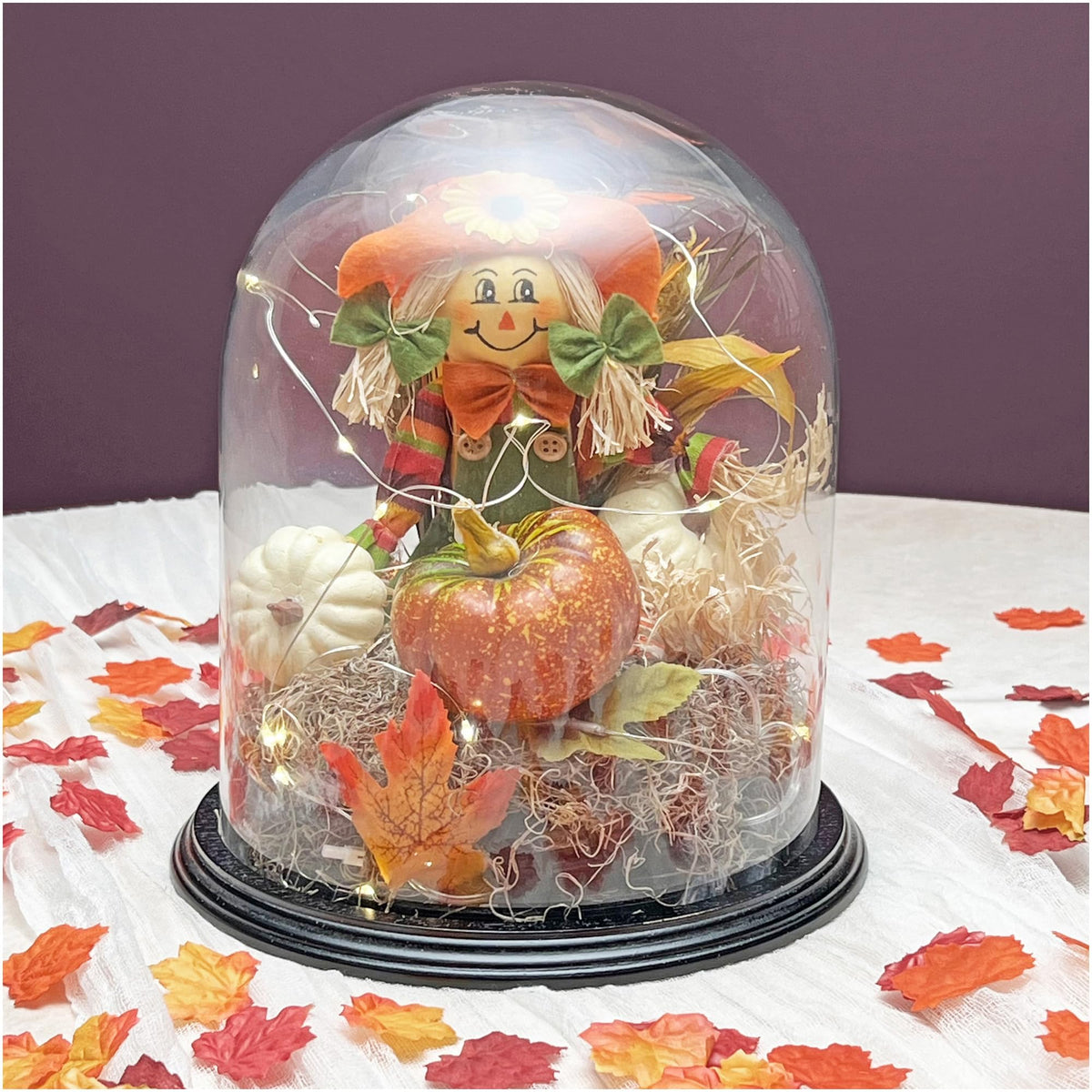 Plymor 8" x 10.25" Glass Display Dome Cloche (Black Wood Veneer Base)
