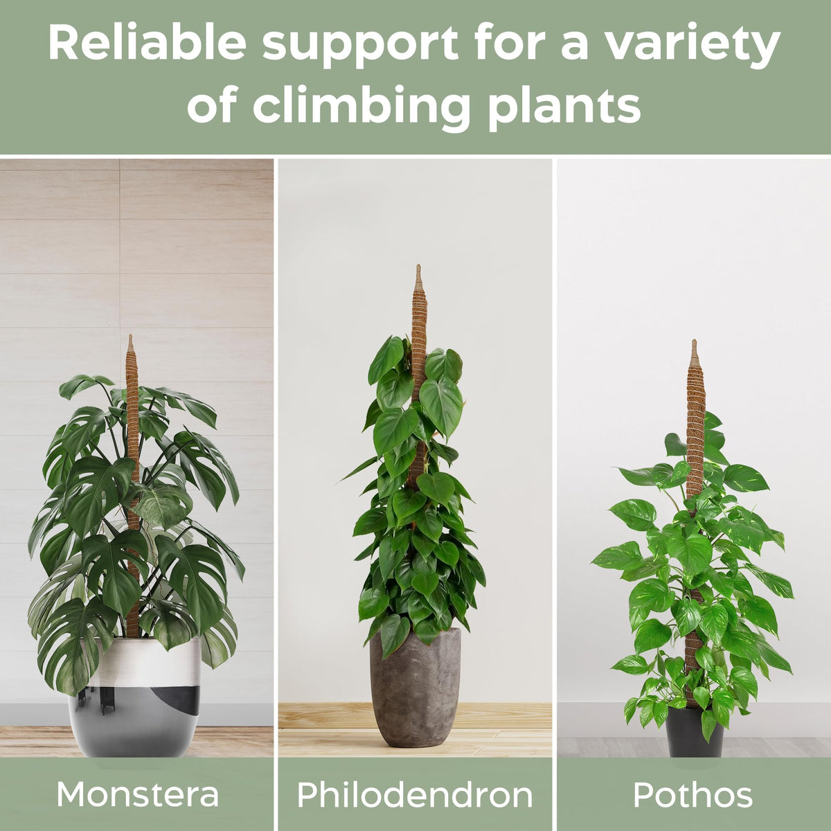 2 Pack 28'' Bendable Moss Pole Monstera Plant Support for Climbing Indoor Plants - Stakes for Potted Climbers - Tall Sticks Indoor Trellis for Houseplants - Accessories for Monstera Pot