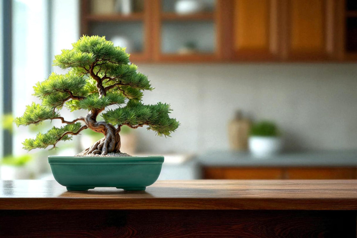 Bonsai Pot, Ceramic, Handmade, Rectangular with Round Corners, Green, 8.75 x 7 x 2.75 inches