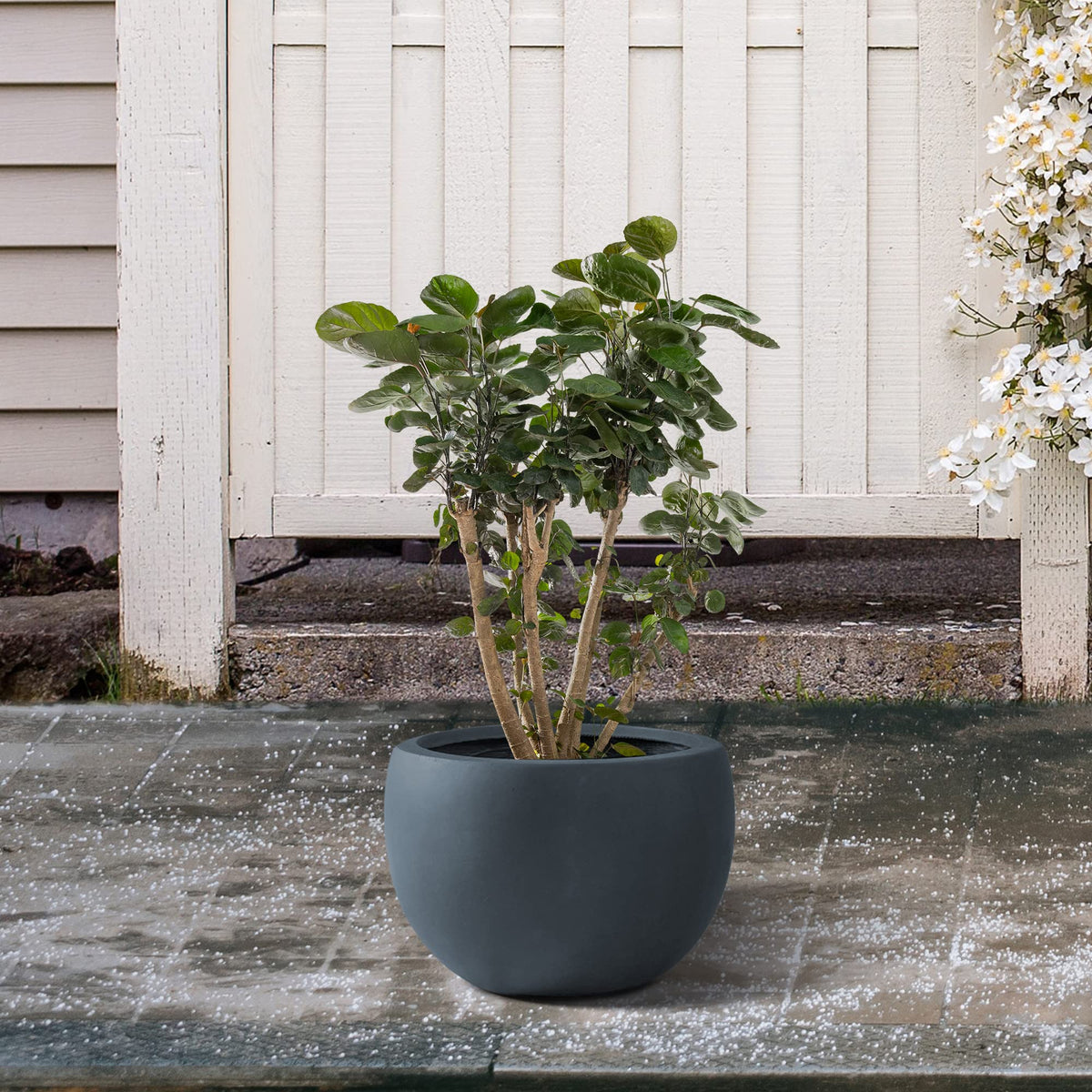 Kante 11.8" Dia Round Concrete Planter, Outdoor/Indoor Large Bowl Plant Pots with Drainage Hole and Rubber Plug for Garden Patio Balcony Home, Charcoal