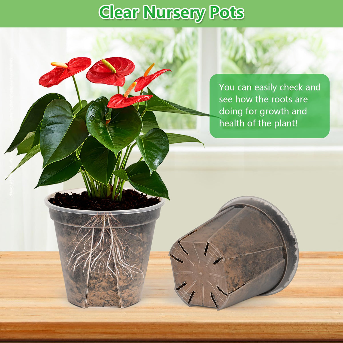 AUGXIXI 5 Sets 8 Inch Transparent Plastic Garden Pots Planter with Saucer Plant Planter Drainage Hole Plastic Pots for Plants Indoor and Out Door House Plants with 10pcs Plant Labels