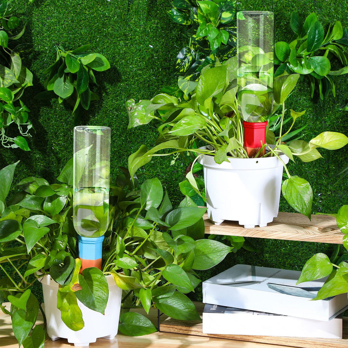 SiliFine 6 Sets Plant Watering Devices Include Terracotta Self Watering Spikes and 26 oz Plastic Bottles, Slow Release Vacation Insert Automatic Plant Waterer Device (Clear and Mixed Color)