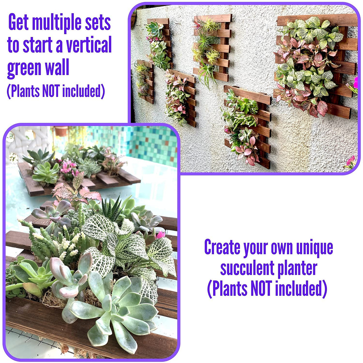 LalaGreen Bundle - 5" Pot + 2 Wooden Plant Holder, White Self Watering Pot, Wall Hanging Planters for Indoor and outdoor,Wall Mount Air Plants Succulent Holder Hanger,Vertical Garden Plant Stand Decor