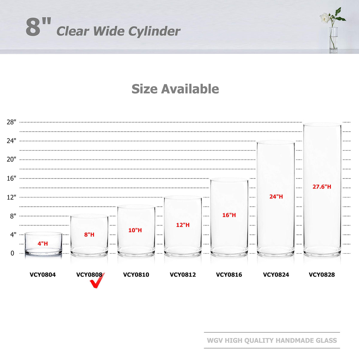 WGV Cylinder Vase, Width 8", Height 8", Clear Wide Large Diameter Flower Glassware, Floral Container, Planter Terrarium for Wedding Party Event, Home Accent Decor, 1 Piece
