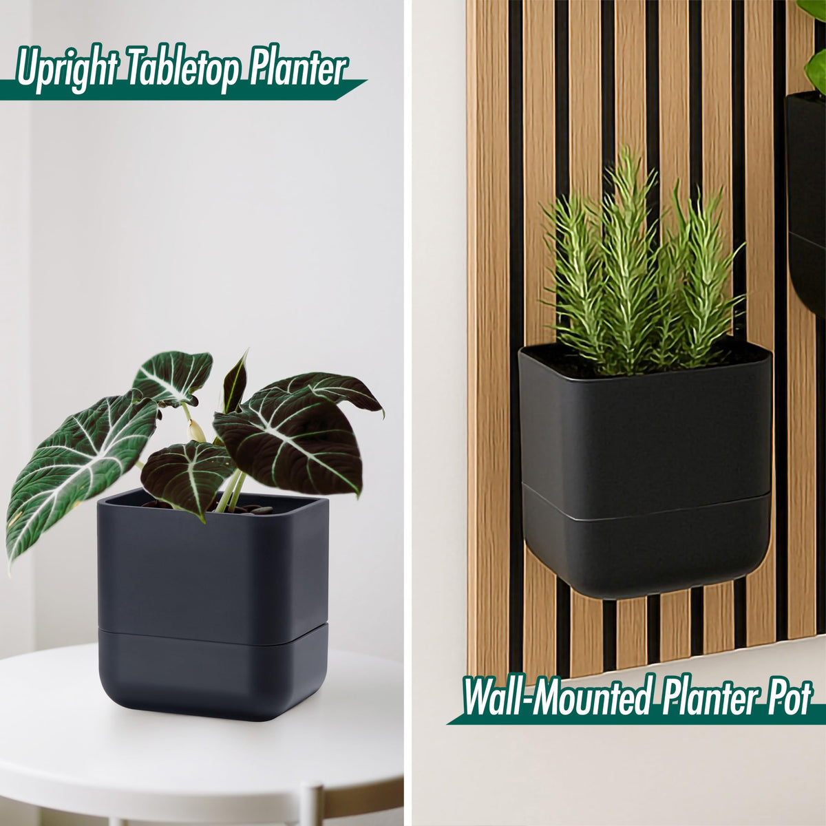 Phoenix Vine 6.5 Inch Wall Mounted Self-Watering Planter Pot for Indoor Houseplants and Herbs | Hanging Planter for Window Sills, Bathroom Walls, Home & Office Décor, Black, Set of 3, 01-C-E-3