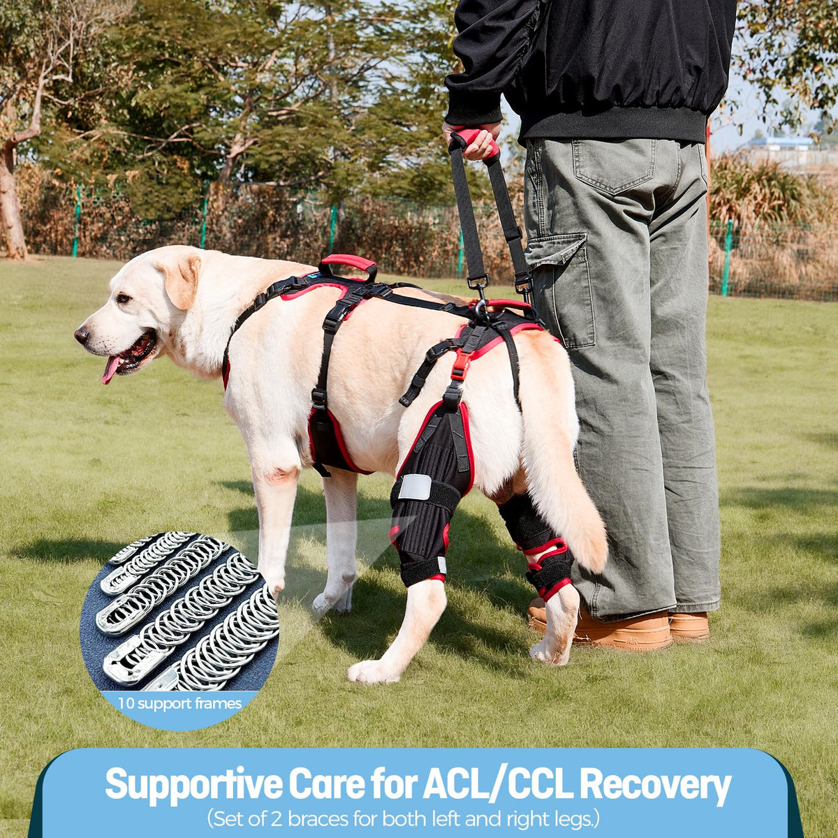 Lafoty Dog ACL CCL Knee Brace for Large Dogs, Set of 2 Hind Leg Braces with Handles & Shoulder Strap – Non-Slip Support for Injury, Arthritis & Post-Surgery Recovery, Black, Large