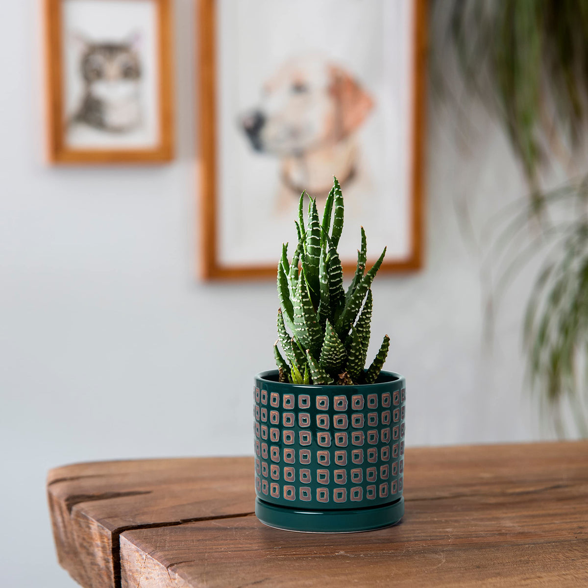 D'vine Dev Set of 2 Ceramic Planter Pots with Drainage Hole and Saucer, 4.5 Inch 6 Inch Plant Pots for Plants Indoor Houseplants, Green, 99-A-4