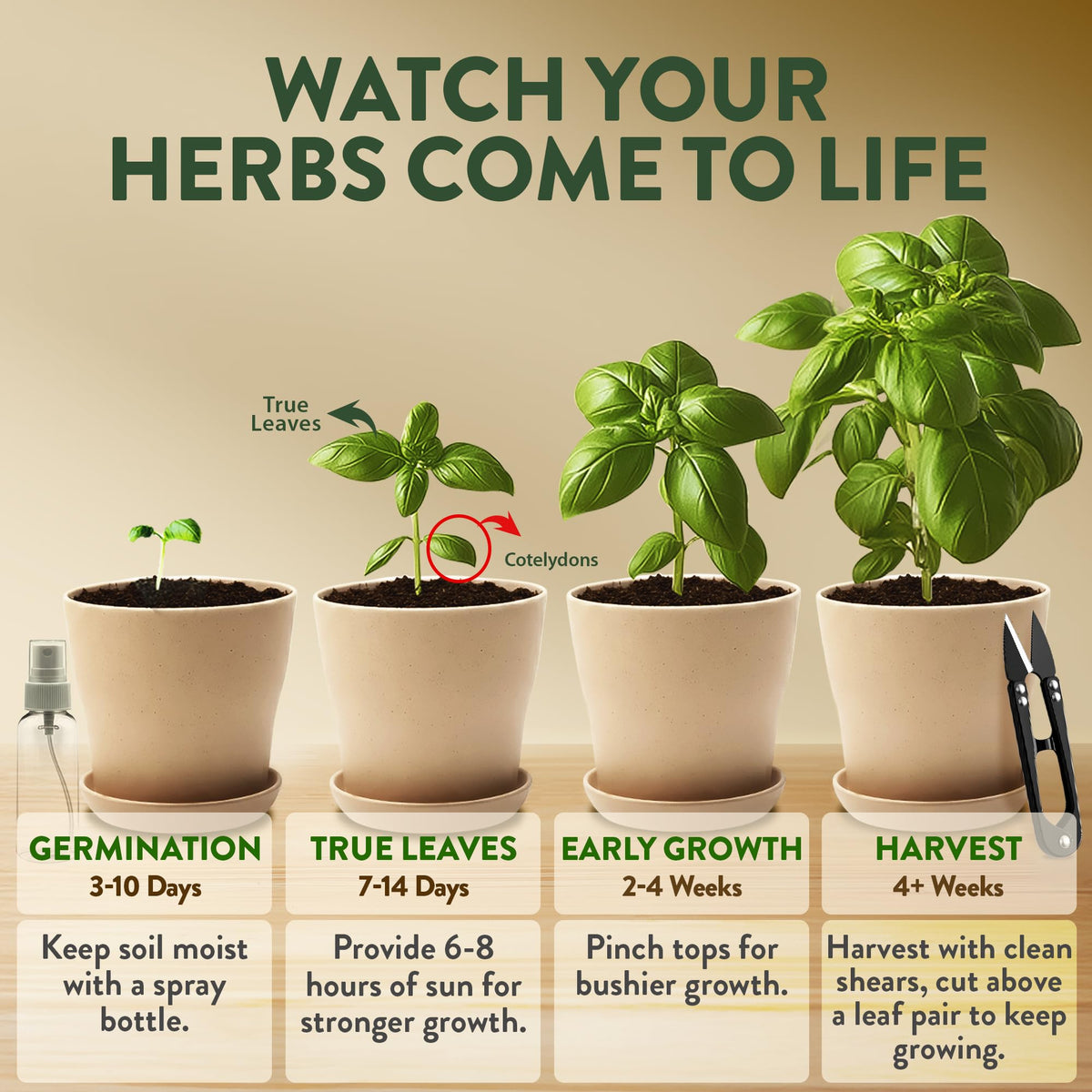 HOME GROWN Herb Garden Planter Indoor Kit – Unique Christmas Gift for Adults, Men, & Women - Grow 4 Heirloom Herb Seeds on Kitchen Window – Beginner DIY Craft & Hobby Gardening Gift for Plant Lovers