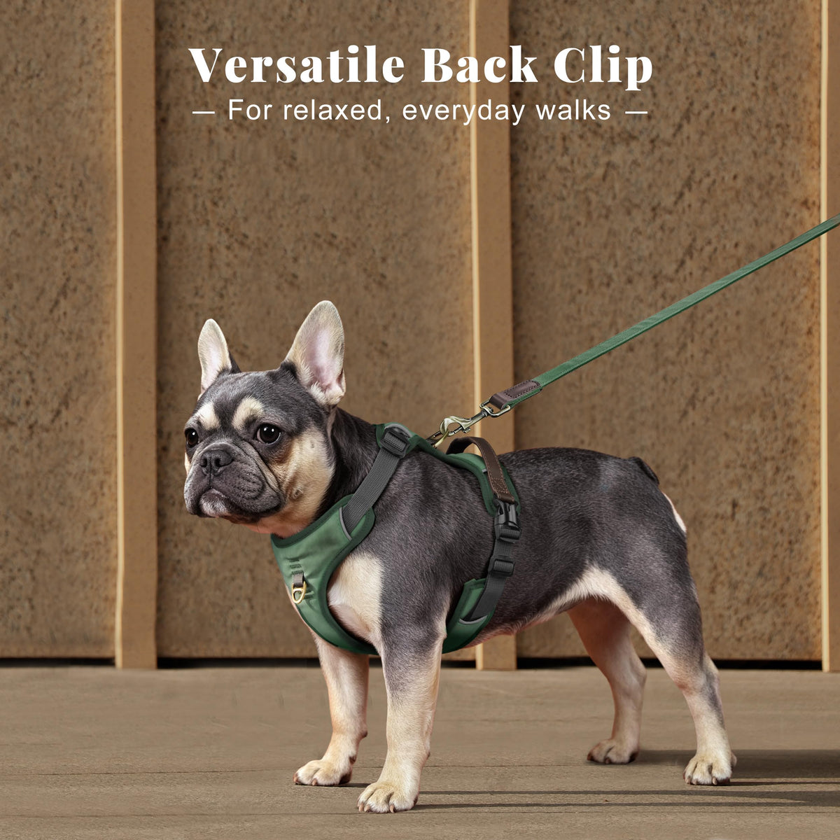 Didog No Pull Dog Harness Small Sized Dog,Classic PU Leather Vest for Small Dogs with Easy Control Handle,No Choke Front Clip,Reflective & Adjustable for Walking,Green,Chest 19-24"