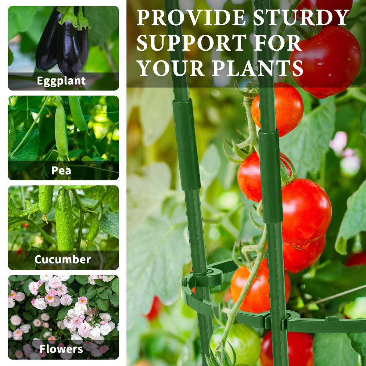 UJG 2-Pack 24 Inches Tomato Cages for Garden, Tomato Cage, Tomato Plant Support, Heavy-Duty Tomato Trellis with Height Adjustable Rings for Garden Climbing Plants with Twist Tie & Gloves