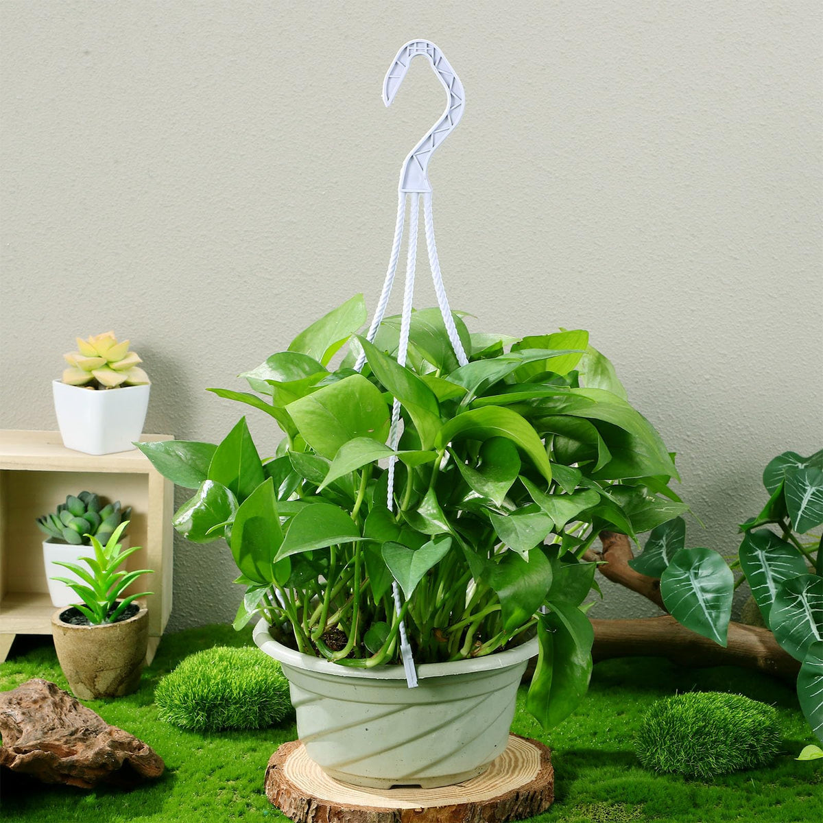 DECHOUS 30pcs Plastic Plant Baskets Hanging Hooks - 3 Size Flower Plant Pot Hanger for Indoor Outdoor Garden Planter Hanging, White