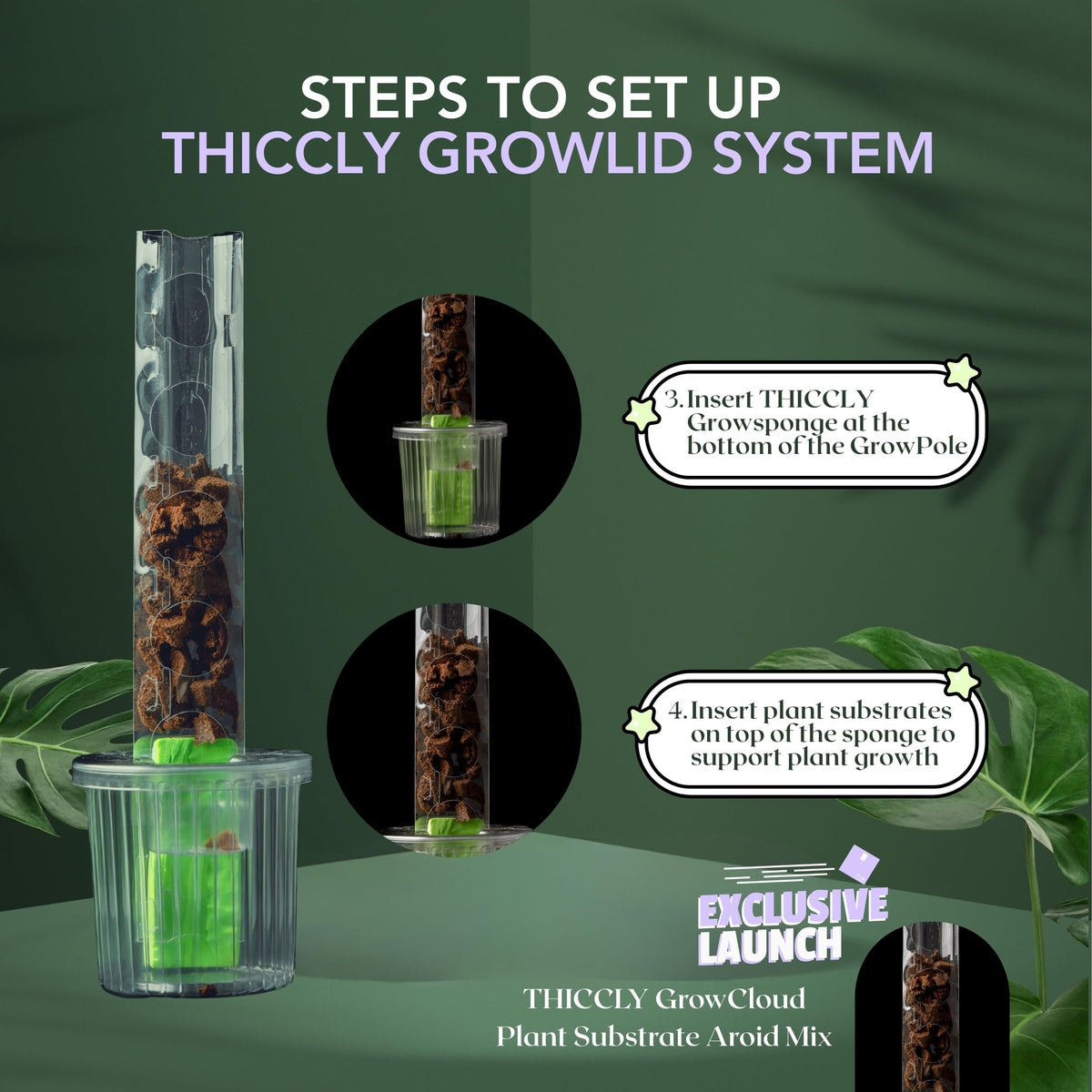 THICCLY Medium GrowLid 5 Pcs (Royal Blue) - Self Watering Clear D-Shaped Plastic Moss Pole Hydroponics Growing System Kratky Hydroponic Kit Moss Pole Monstera Plant Support Philodendron and Anthuriums