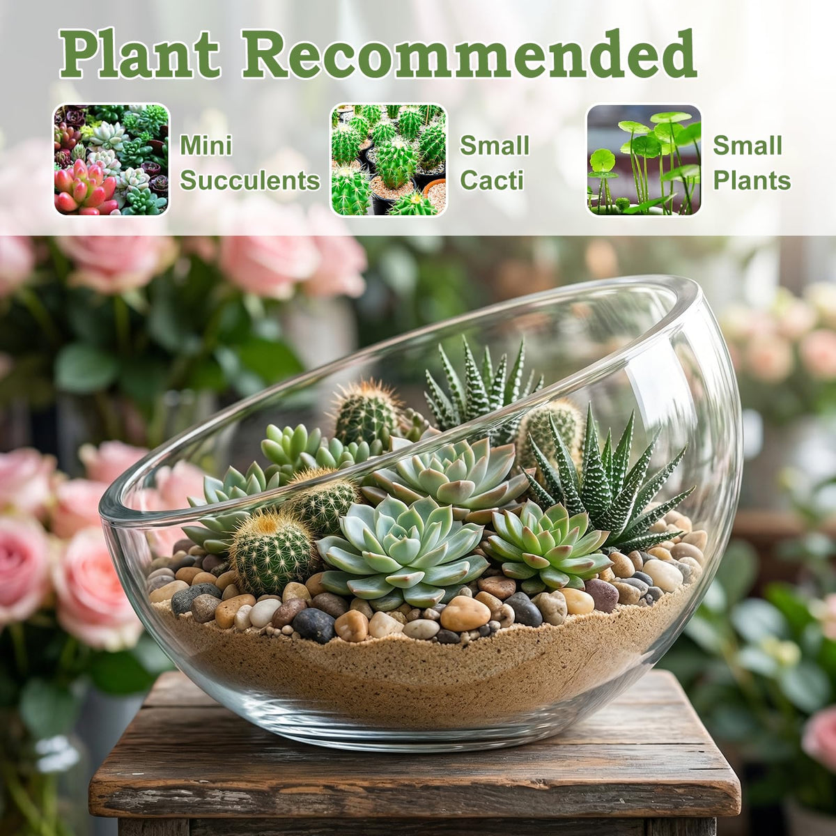 2Pack Slant Cut Bowl, Glass Terrarium, Glass Fish Bowl Vase, Flower Vase Centerpiece, Candy Dish, Fruit Jar (Big: Open 8.5" Height 6" x 3" ; Small: Open 5.75" Height 4" x 2")