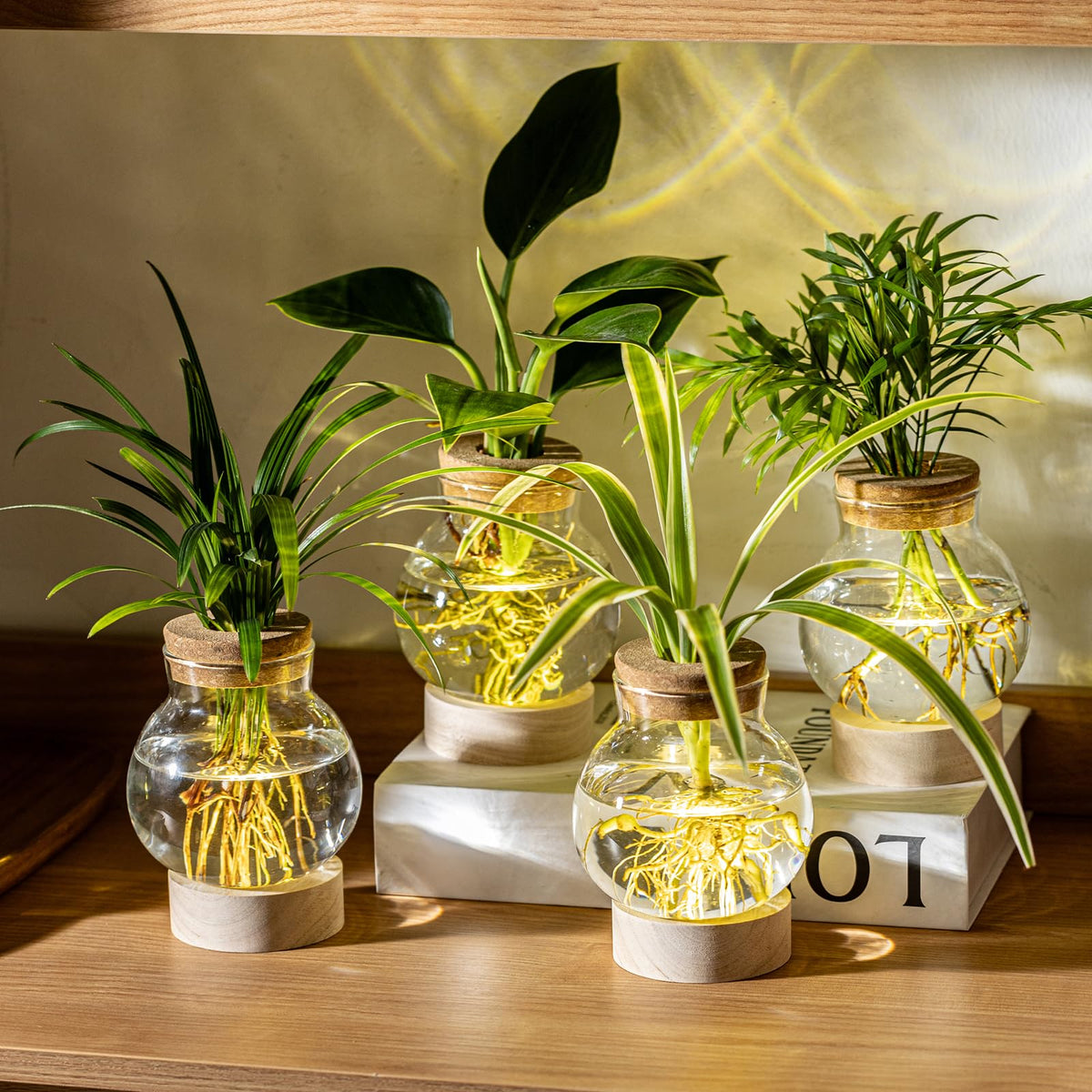 Propagation Stations, Plant Propagation Station with Light Base, Glass Propagation Vases, Hydroponic Vase for Plants, Glass Terrarium for Home Office Windowsill Tabletop Decoration (2)