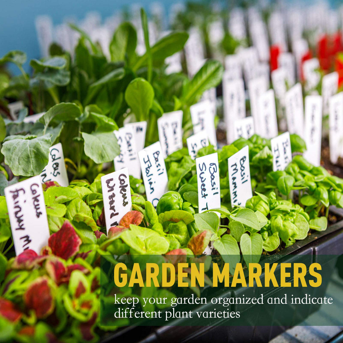 homenote Peat Pots, 4 Inch Seed Starting Pots with Drainage Holes Round(120 Pcs) with 4 Inch Plastic Plant Labels Waterproof Plant Tags(200 Pcs)