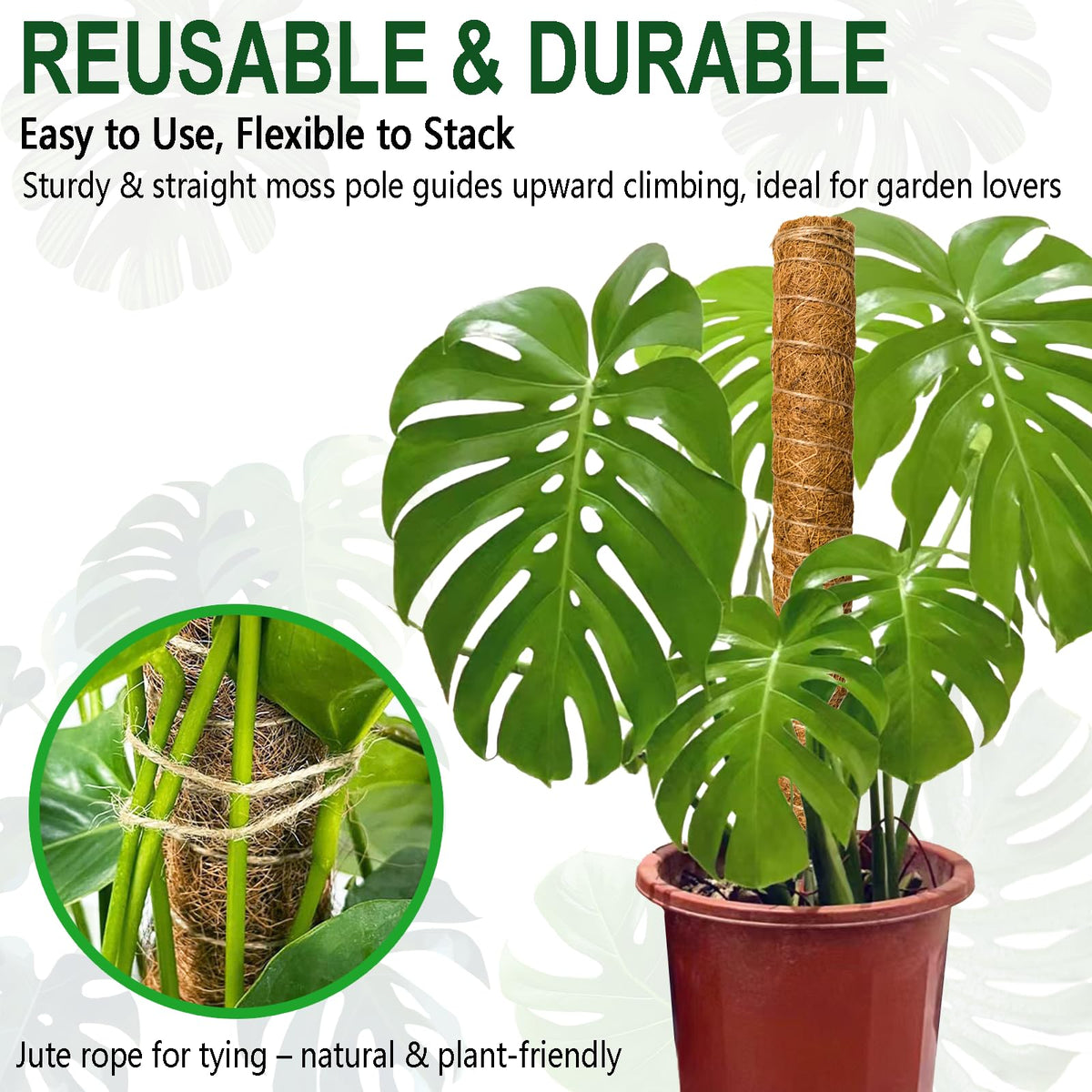 Soupiar 2 Pack 22 Inch Stackable Moss Pole - Thick & Sturdy Natural Coir Totem Plant Support & Garden Stakes for Monstera & Pothos, Indoor Climbing Vining Houseplants, 38" H Max