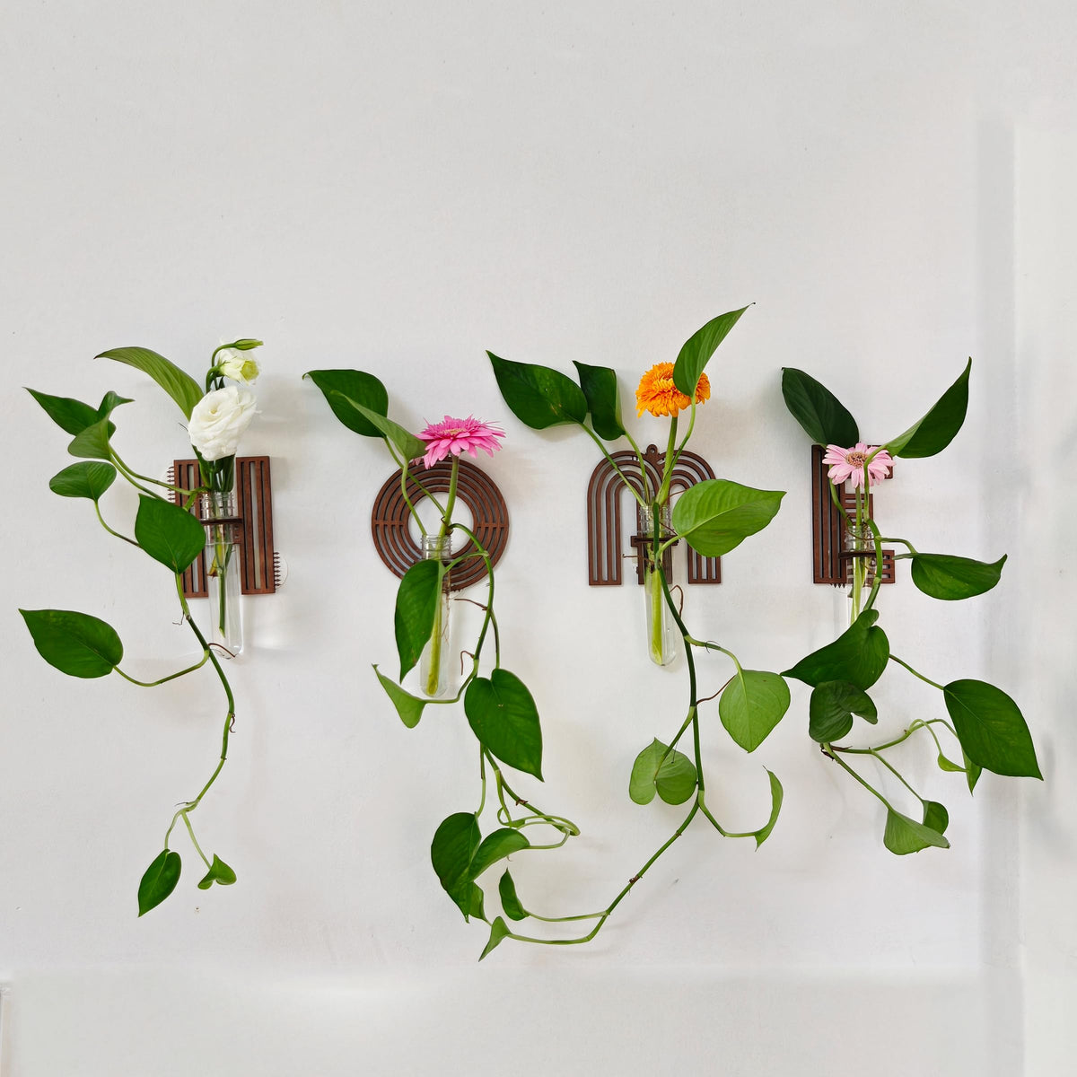 Home Letter Wall Propagation Planters Test Tubes Wall Decor for Hanging Plants Clear Water Plant Vase Brown Wood Water Propagation Station 4 Pack