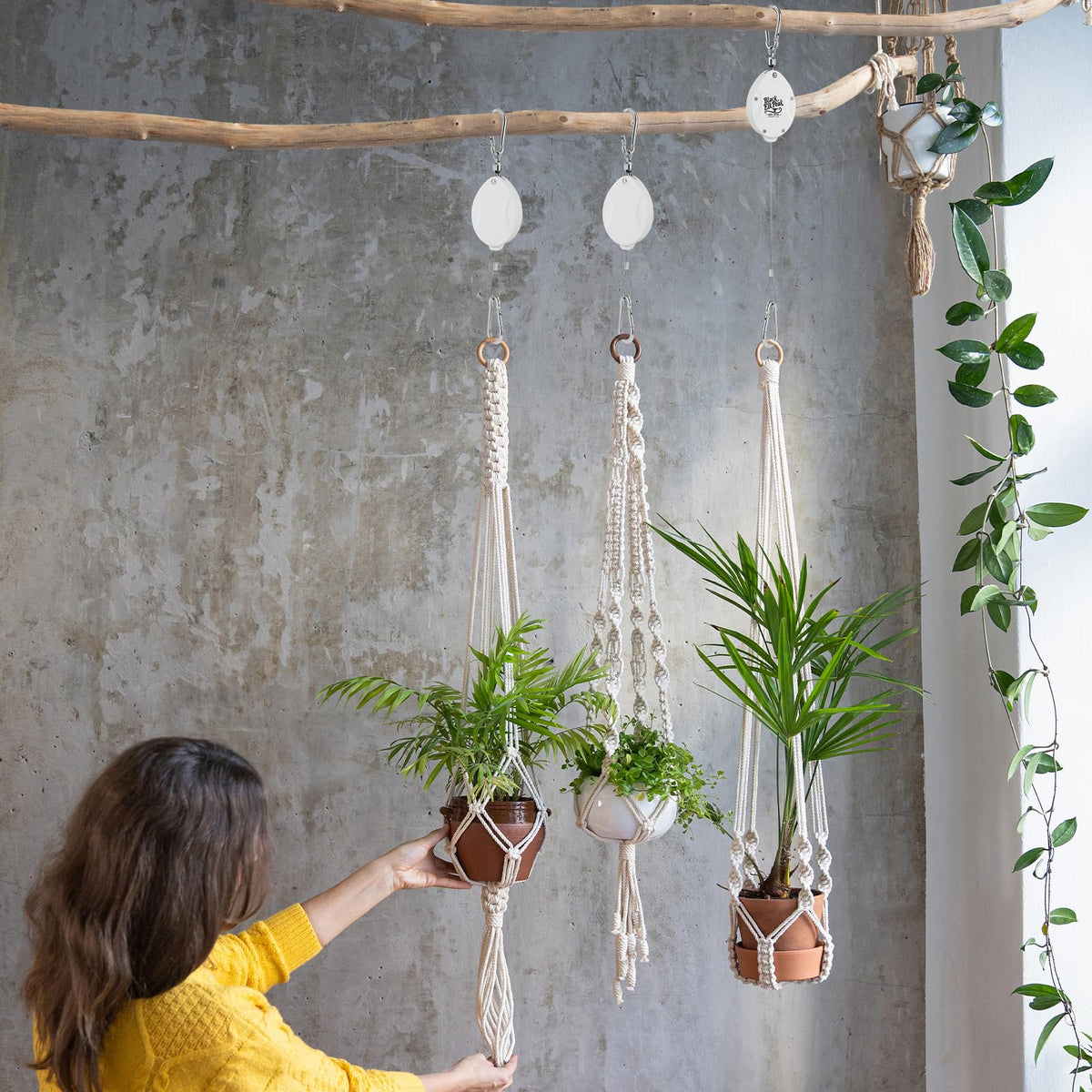 Plant Pulleys for Hanging Plants, Heavy Duty Retractable Hangers, 304 Stainless Steel Rope, Auto Plant Holder, Adjustable Climbing Hook for Garden Baskets Watering, or Bird Feeders 2PC (White)