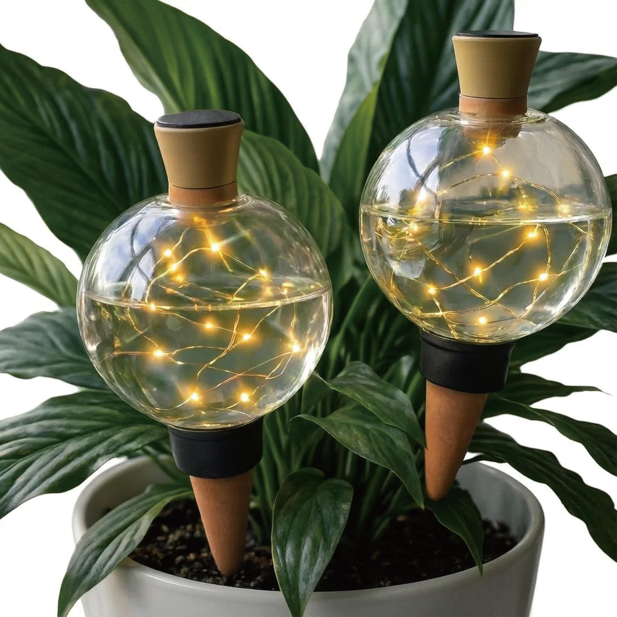19 oz Extra Large Plant Self Watering Globes Top Fill, LED Night Light Classic Globe Plastic Water Bulbs, Automatic Plant Waterer for Indoor Outdoor Houseplants, Slow Release Planter Insert, 2 Pack