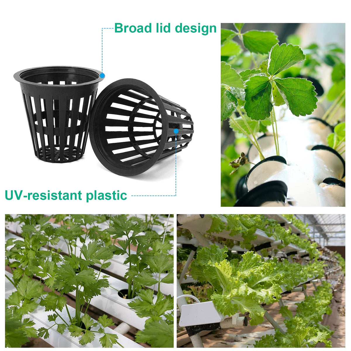 Business King 30 pcs 3 inch net pots & 50 pcs 2 inch net pots with 80 pcs Plant Lable