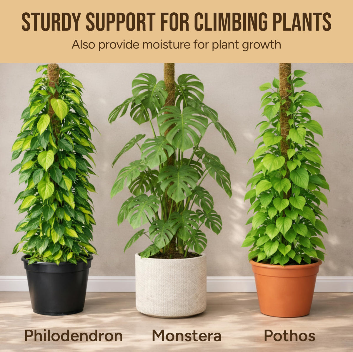 Craft911 Moss Pole Monstera Plant Support – 2 Pack 64” Bendable Moss Pole Monstera Plant Support, Plant Stakes for Indoor Plants, Tall Plant Sticks Support for Climbing Plants