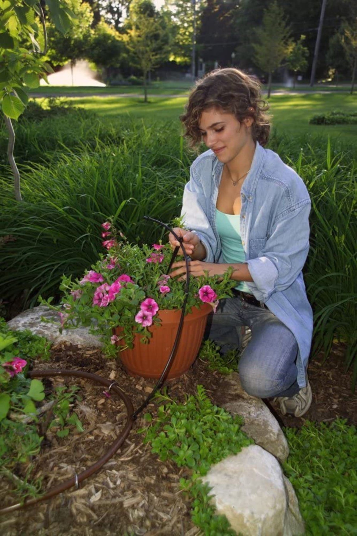 Rain Bird SW10-30PS Drip Irrigation Spot Watering Dripper/Emitter,1 Gallon Per Hour,(Pack of 300)