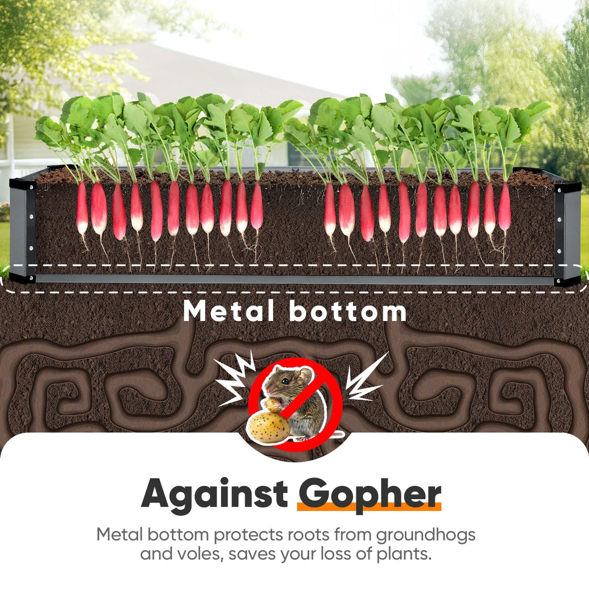 KING BIRD Raised Garden Bed Kit with Bottom 2025 Upgraded Galvanized Planter Garden Box Outdoor & Indoor for Gardening, Vegetables, Flowers, Dark Grey, 70.8x23.6x11.8 in
