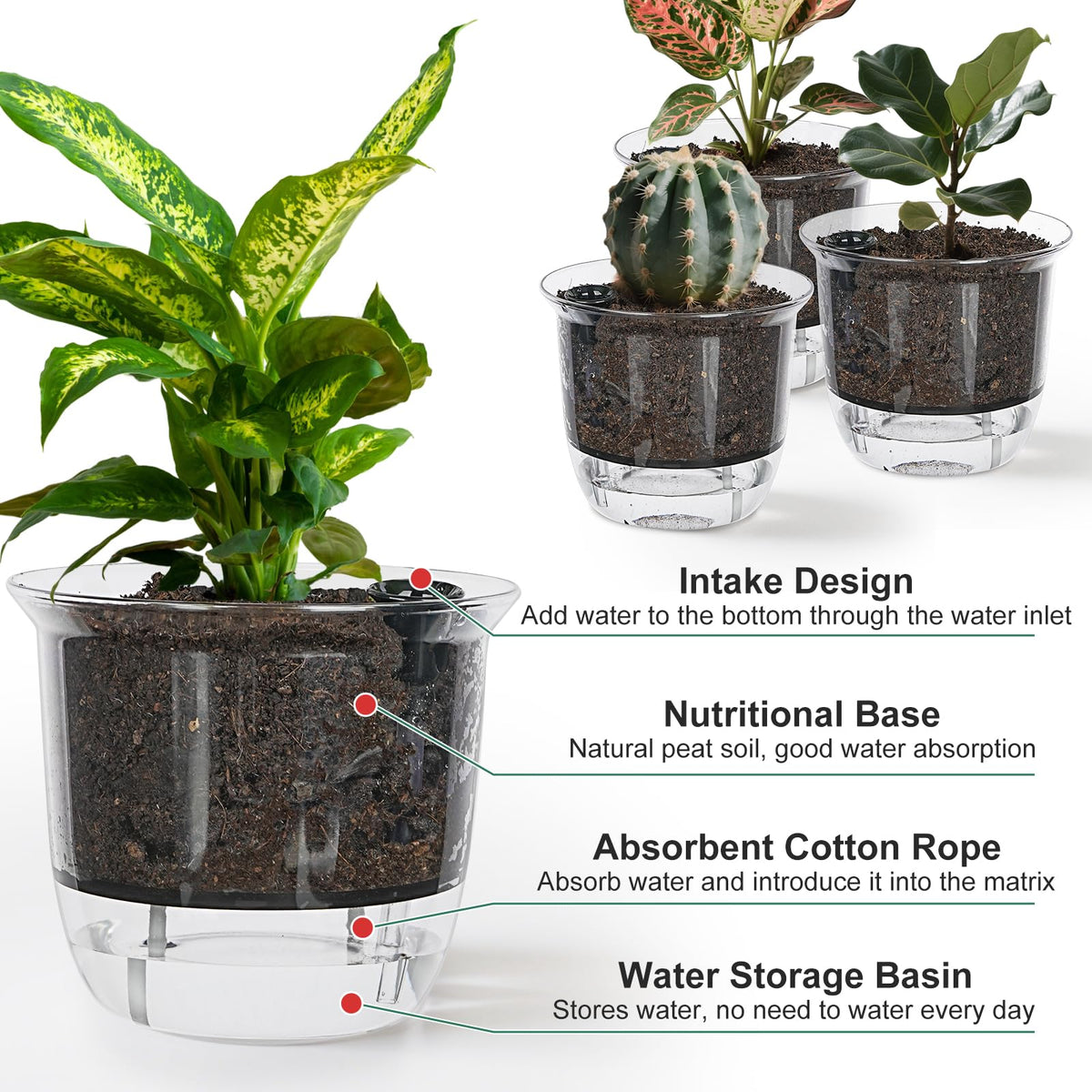 IWNTWY Plant Pots 6 inch Set of 3, Self Watering Pots for Indoor Outdoor Plants Flowers, Self Watering Planters with Reservoir, Drainage Hole and Absorbent Cotton Rope (3 Large)