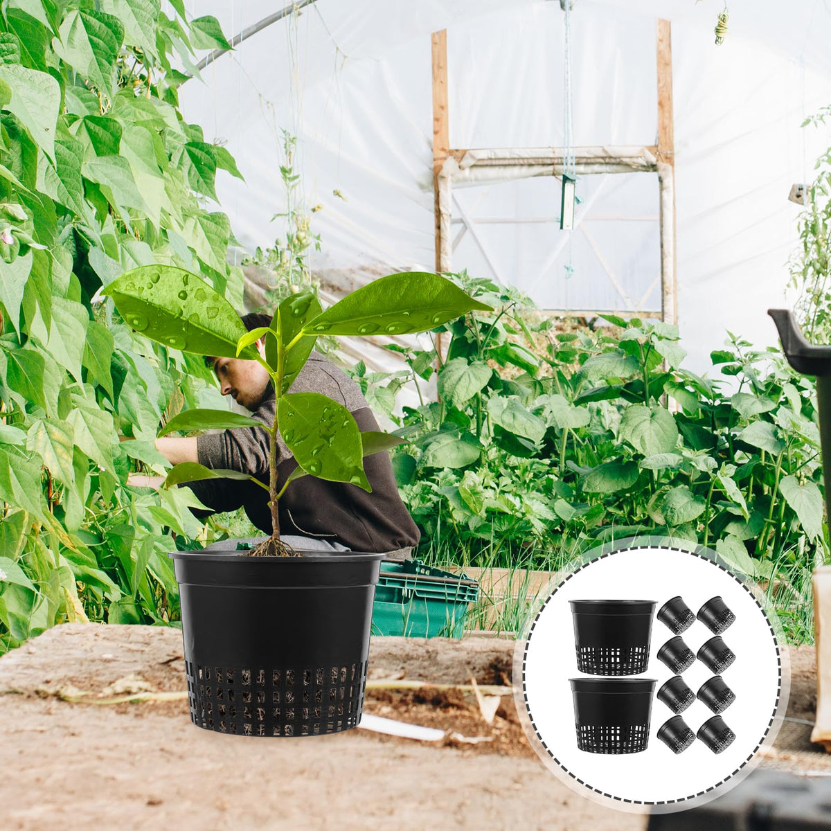 10PCS 3 Inch Hydroponic Net Pots - Black Plastic Planting Baskets for Soilless Culture, Ideal for Home, Garden, and Balcony Use