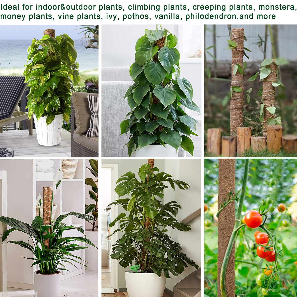 Fabulas Moss Pole 47.5 Inch - Monstera Plant Support, 4 Packs 16 Inch Plant Stakes for Indoor Plants Coco Coir Moss Pole Sticks for Climbing Potted Live Plants, Pothos, Philodendron, with Garden Ties