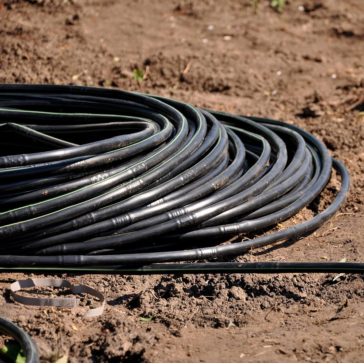 Drip Irrigation Line 1/4" Tubing Roll, 6" Emitter Spacing.52 GPH, Color Black (.170 ID x 240 OD) - Will Work from Gravity Feed (50' Foot Roll)