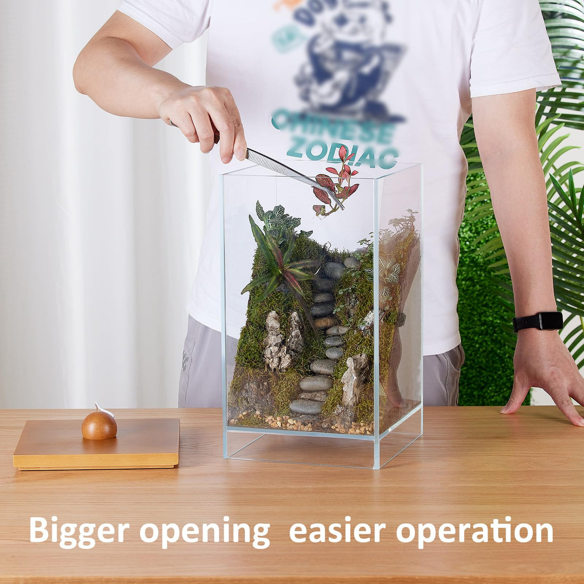 13.7H+7.8W Desktop Glass Plant Terrarium with Light, Large Propagation Station for Succulent, Moss, Miniature Gardening Landscape, Betta Fish Tank
