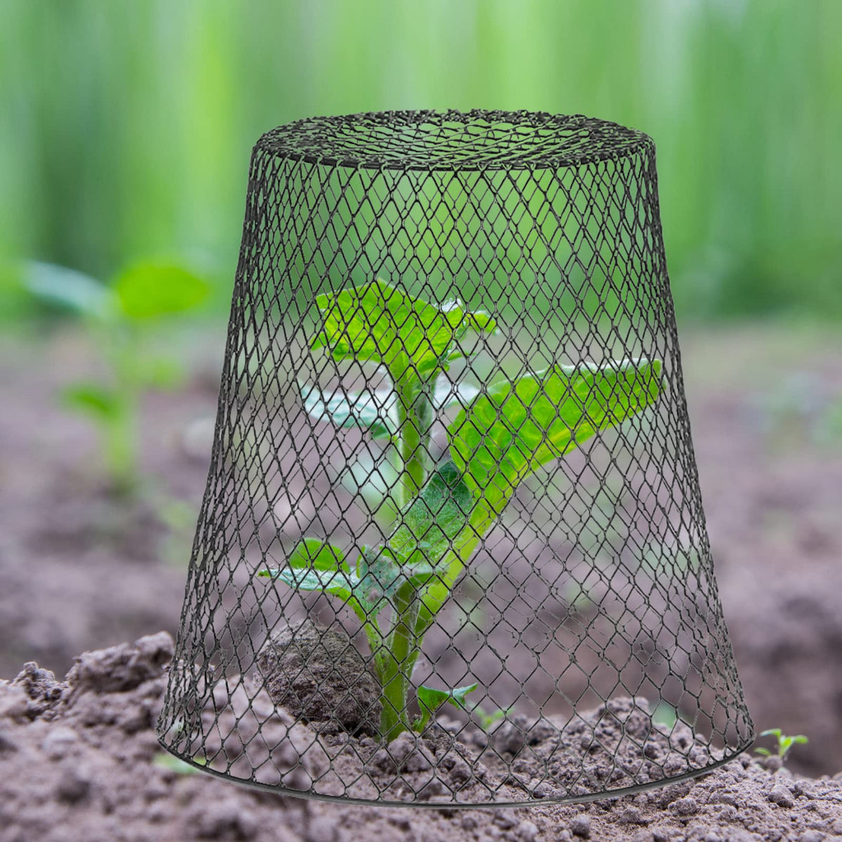 24 Pcs Chicken Wire Cloche Plant Protector Cover Plant Protector from Animals Metal Garden Protections for Plants, Shrubs and Vegetables with 48 Ground Stakes (24)