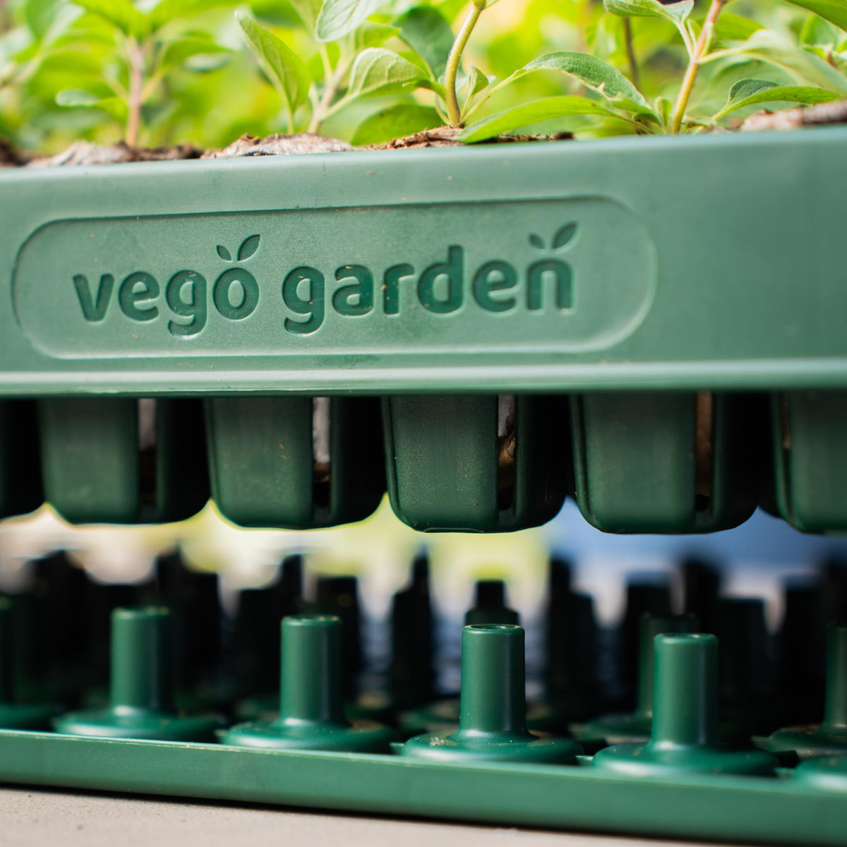 Vego garden Seedling Suite Products 10" x 20" 76 Cells Stackable Seed Starter Germination Tray with 3-in-1 Plant & Pop Board and 10" x 20" Bottom Watering Tray