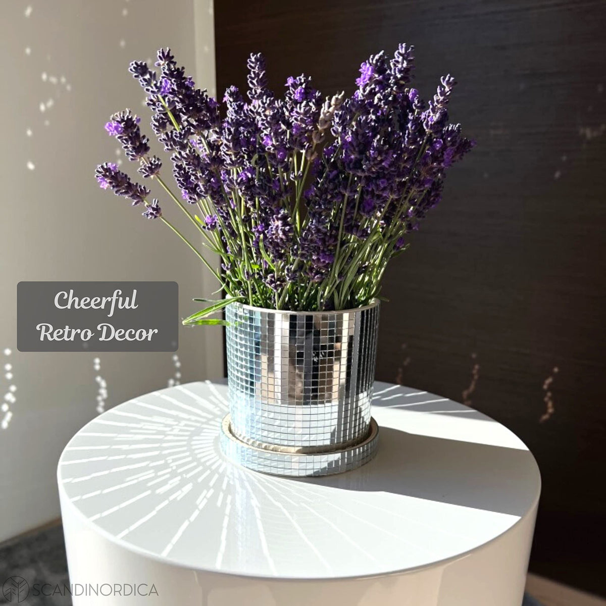 SCANDINORDICA Disco Ball Planter 8" Gold with Chain and Macrame Hanger and Disco Ball Planter Pot 4.3" with Saucer (0.2x0.2 mirror tiles)
