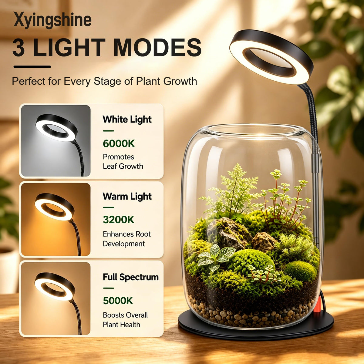5X Aperture Glass Terrarium Grow Light with Full Spectrum LED for Indoor Plants, Mini Desk Plant Growing Lamp for Succulents & Moss, 3 Modes, 10 Brightness Levels, Height Adjustable