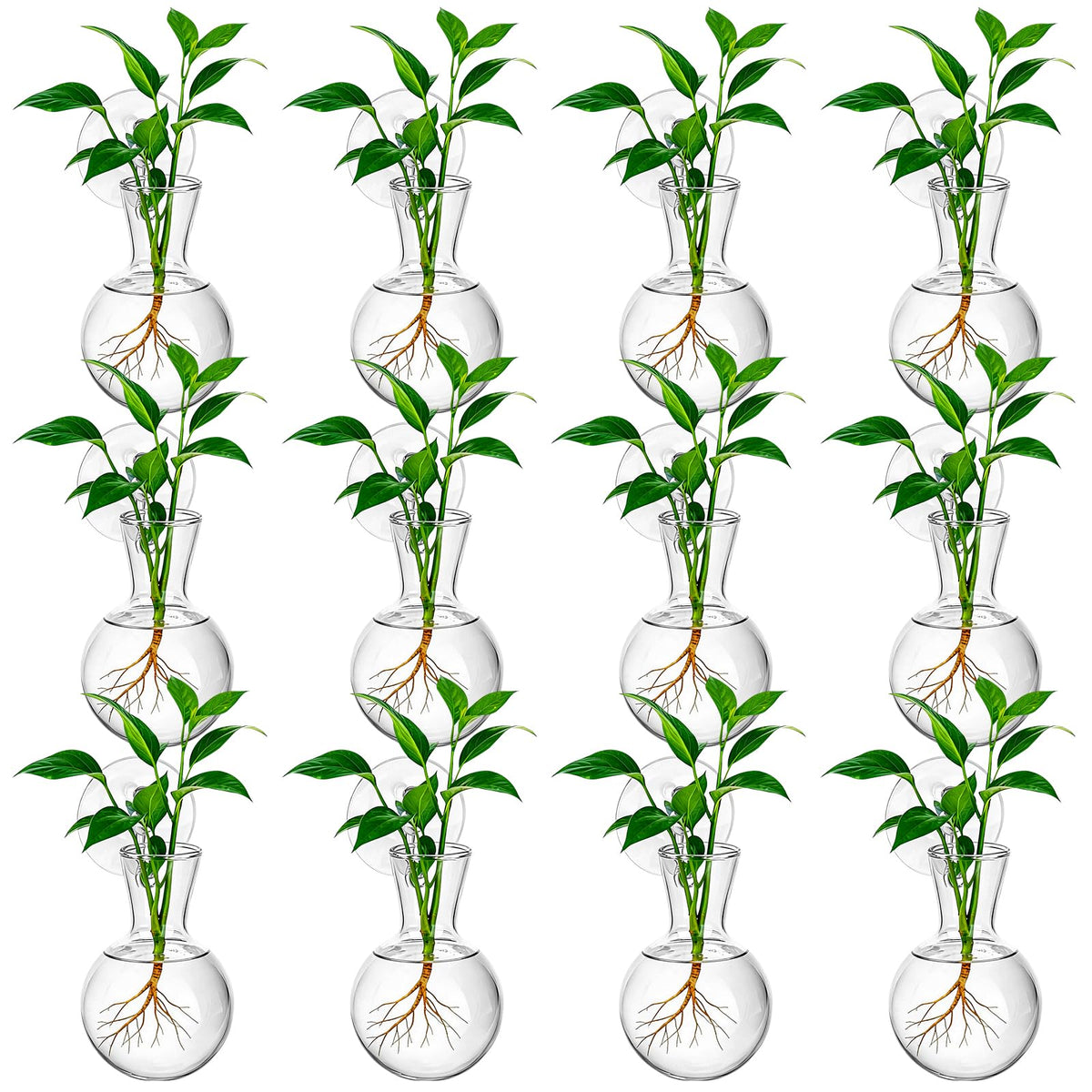 HCEWSBFD 12Pcs Window Propagation Stations Bulb Glass Vases with Suckion Cups Hooks Hydroponics Plant Propagation Vases No Nails Wall Hanging Planter for Water Plant Propagation Rooting Cuttings