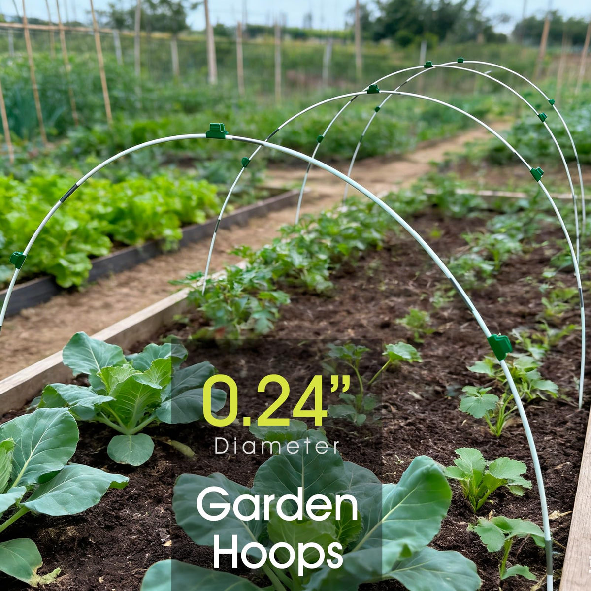 24 PCS Garden Hoops for Raised Beds, RIFNY Greenhouse Hoops Kit Long Grow Tunnel for Row Cover, Rust-Free Fiberglass Garden Support Poles for Insect Mesh Netting Freeze Plant Cover Frame