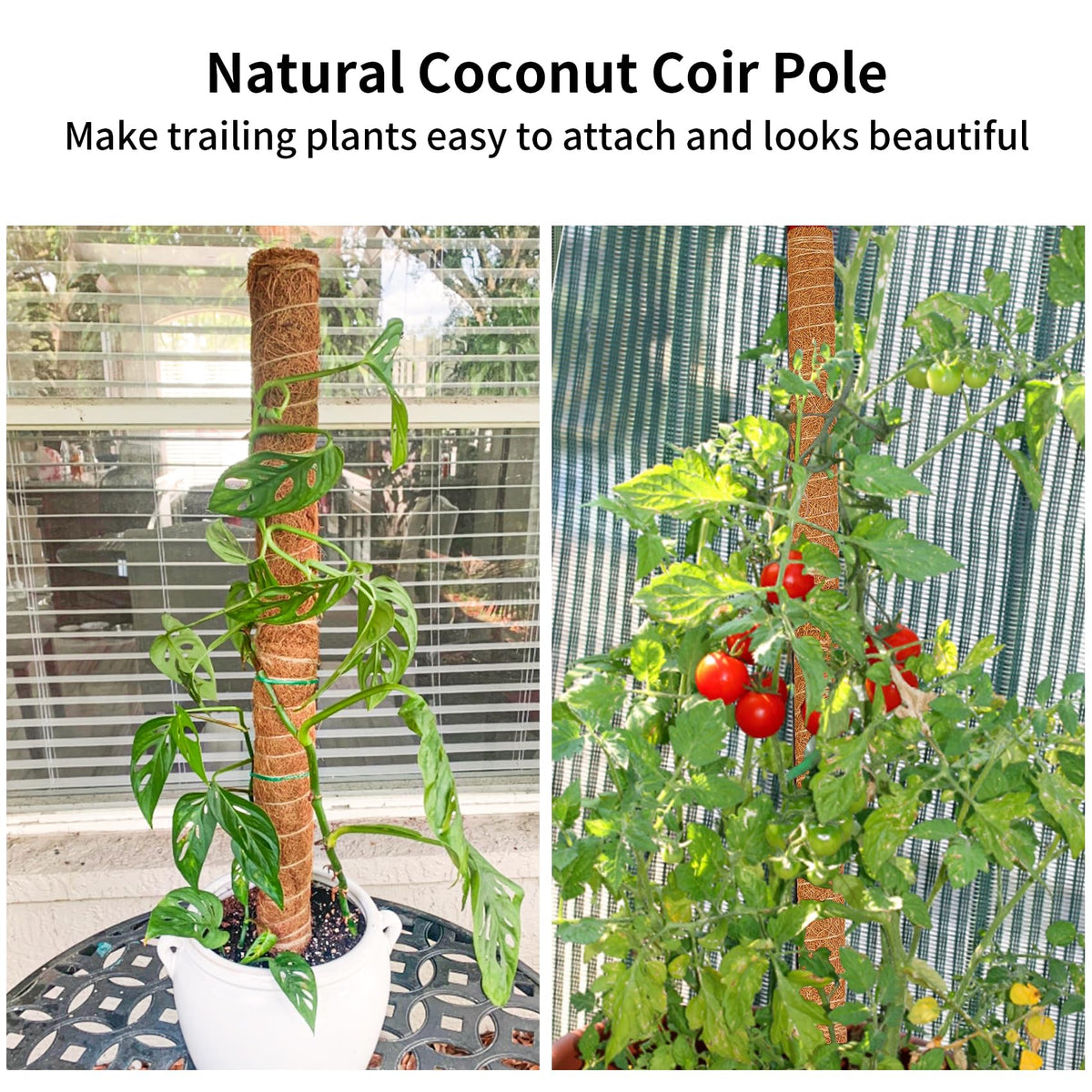 JJGoo Moss Pole for Plants Monstera,【4 Pack】 23.6 inch Plant Support Pole, Extendable Coir Totem Pole for Potted Plants Pothos,Train Indoor Climbing Plants to Grow Upwards - Extends to 74.6 Inches