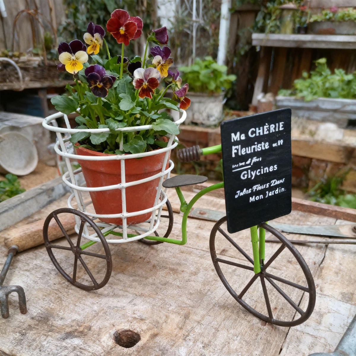 MINGLEA Beautiful Iron Tricycle Flower Pot Holder Container with Deep Basket for Living Room Indoor Outdoor Garden Decoration