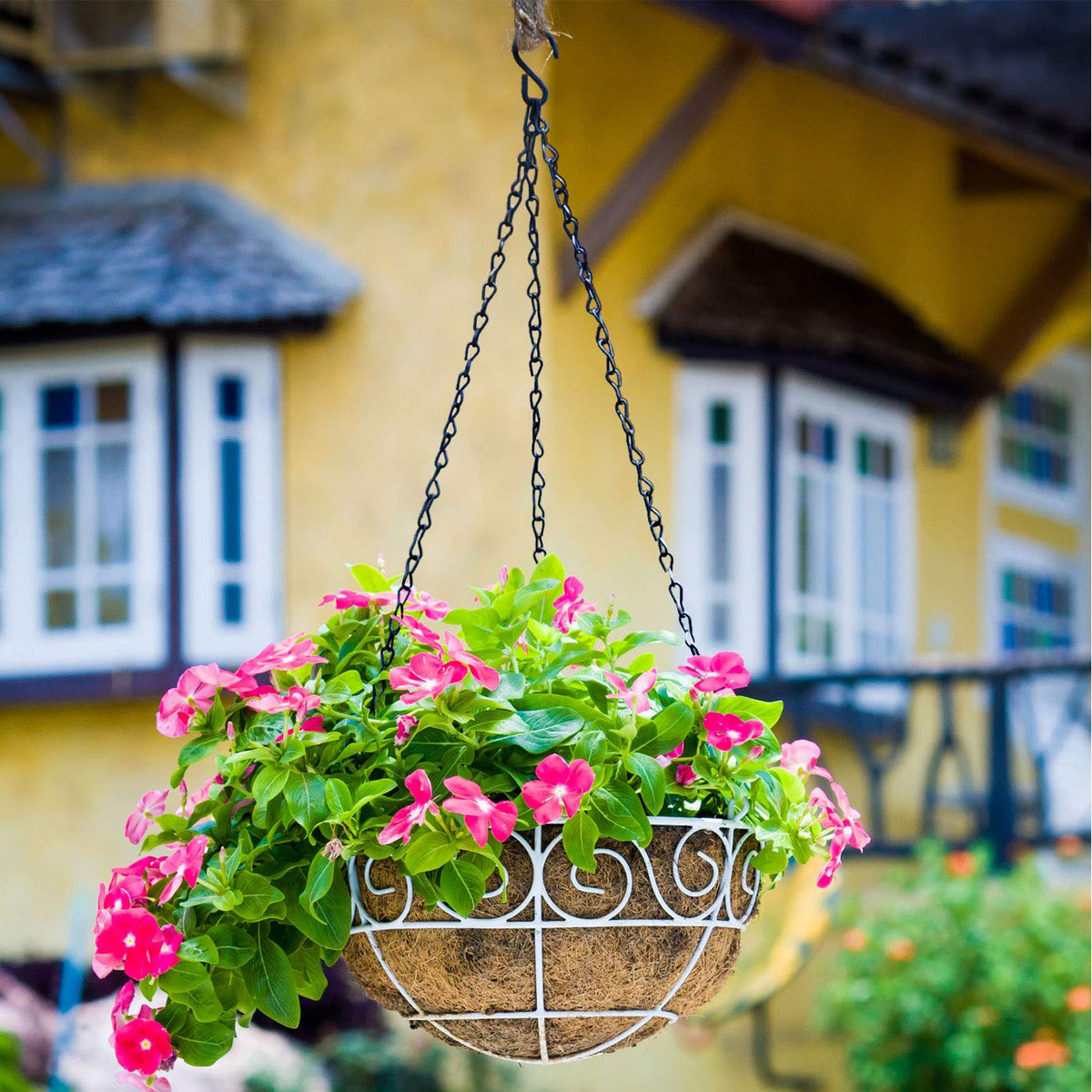 Hotop 8 Pcs Metal Hanging Chains with Ceiling Hooks, Garden Plant Hangers for Hanging Bird Feeders, Billboards, Chalkboards, Basket, Planters, Lanterns, Wind Chimes, Chain Hook DIY(16.38 Inch,Black)