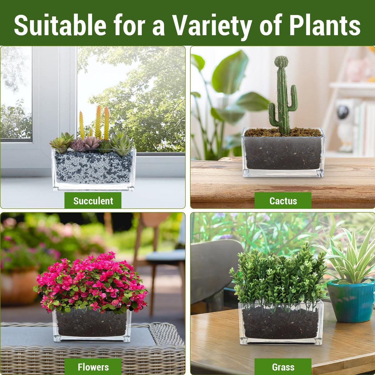 MyGift 7.8 inch Modern Rectangular Glass Vase, Trough Planter, Tabletop Glass Terrarium