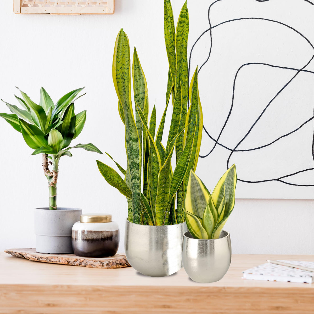 WHW Whole House Worlds Crosby Street Bucket Style Cache-Pot Planters, Set of 2, Polished Silver Aluminum, 7.5 and 5.5 Inches Diameter