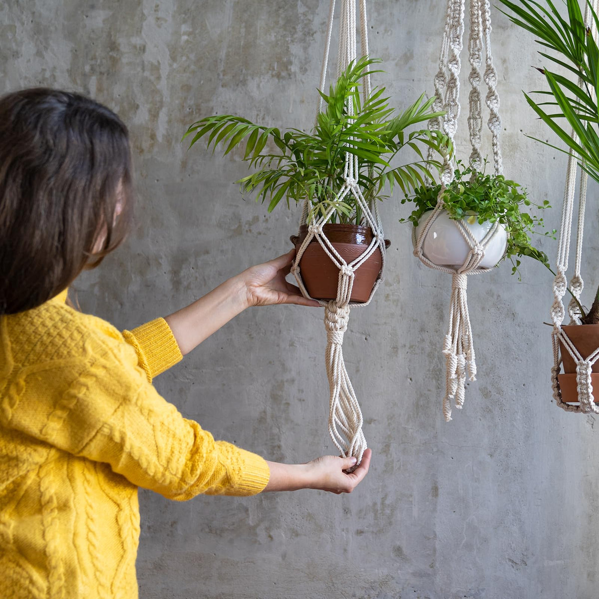 PATIKIL Plant Hanger, 8 Pcs Pulley Retractable Hanging with Ceiling Hook Indoor and Outdoor Plant Pots Holder, for Planters, Flower Basket, Wind Chimes, Bird Feeders, Black