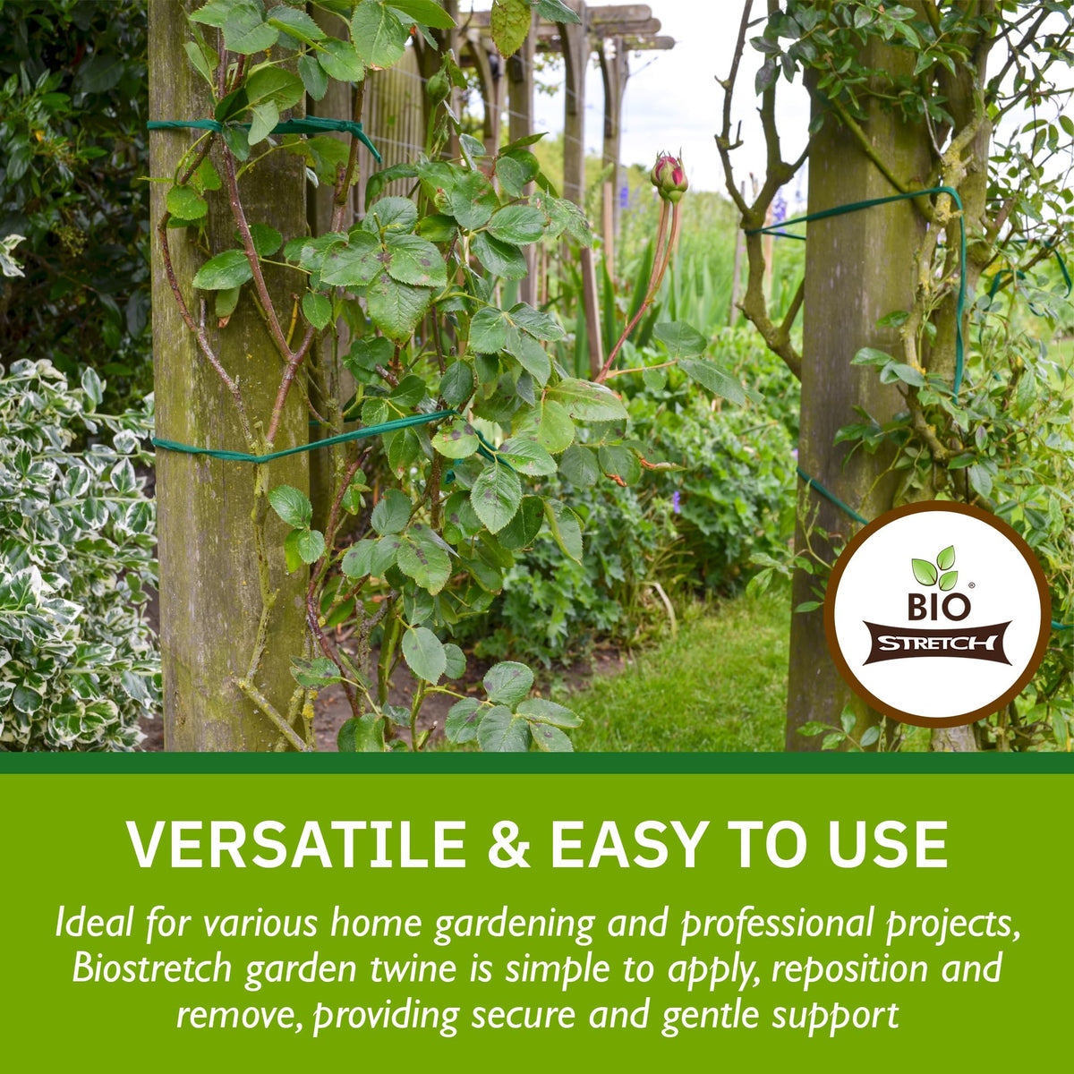 Biostretch Soft Garden Plant Ties for Indoor & Outdoor Plants - Strong & Stretchy Cut-to-Length Plant Tape for Climbing Plants, Tomato Vines & Home Gardening (656 ft / 200M)
