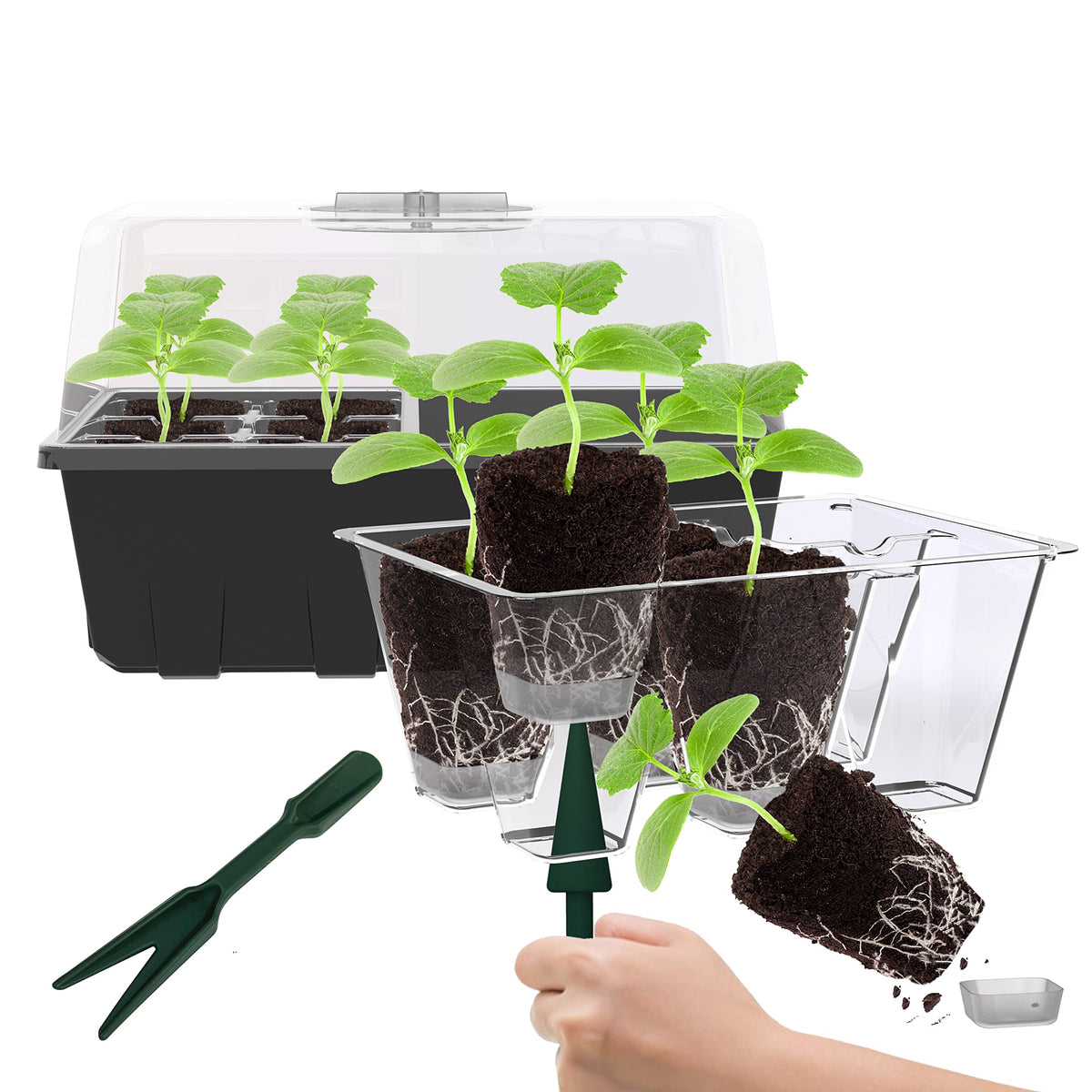 Gardzen 10 Pack Push-Up Seed Starting Tray, Pop Up Plant Germination Trays, Seed Starter Kit with Adjustable Humidity Vented Dome, 6.6" x 4.5", Total 120-Cell, Clear