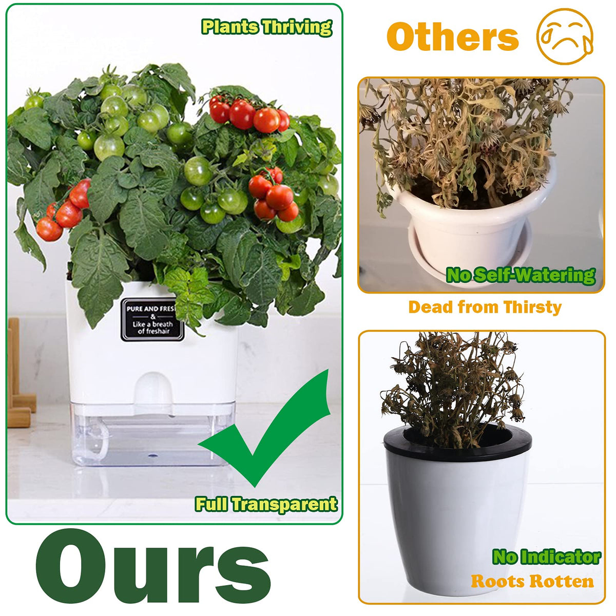 Planterhoma 6 Pack-5.5 Inch Self Watering Plant Pots for Indoor Plants, Square Self-Watering Planters Box Transparent for Devil's Ivy, Spider Plant, Orchid, African Violet