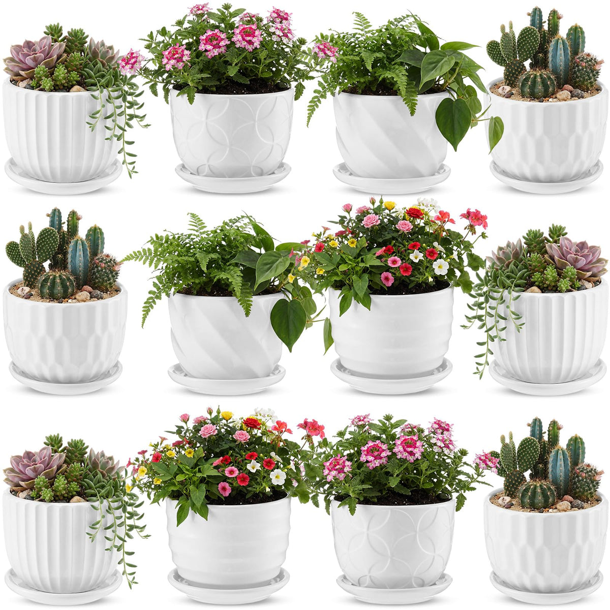 Maxdot 12 Set 4 Inch Ceramic Pots for Plants White Flower Pots with Drainage Holes Saucer Flower Planter for Indoor Outdoor Gardening Home Desktop Office Windowsill Decor