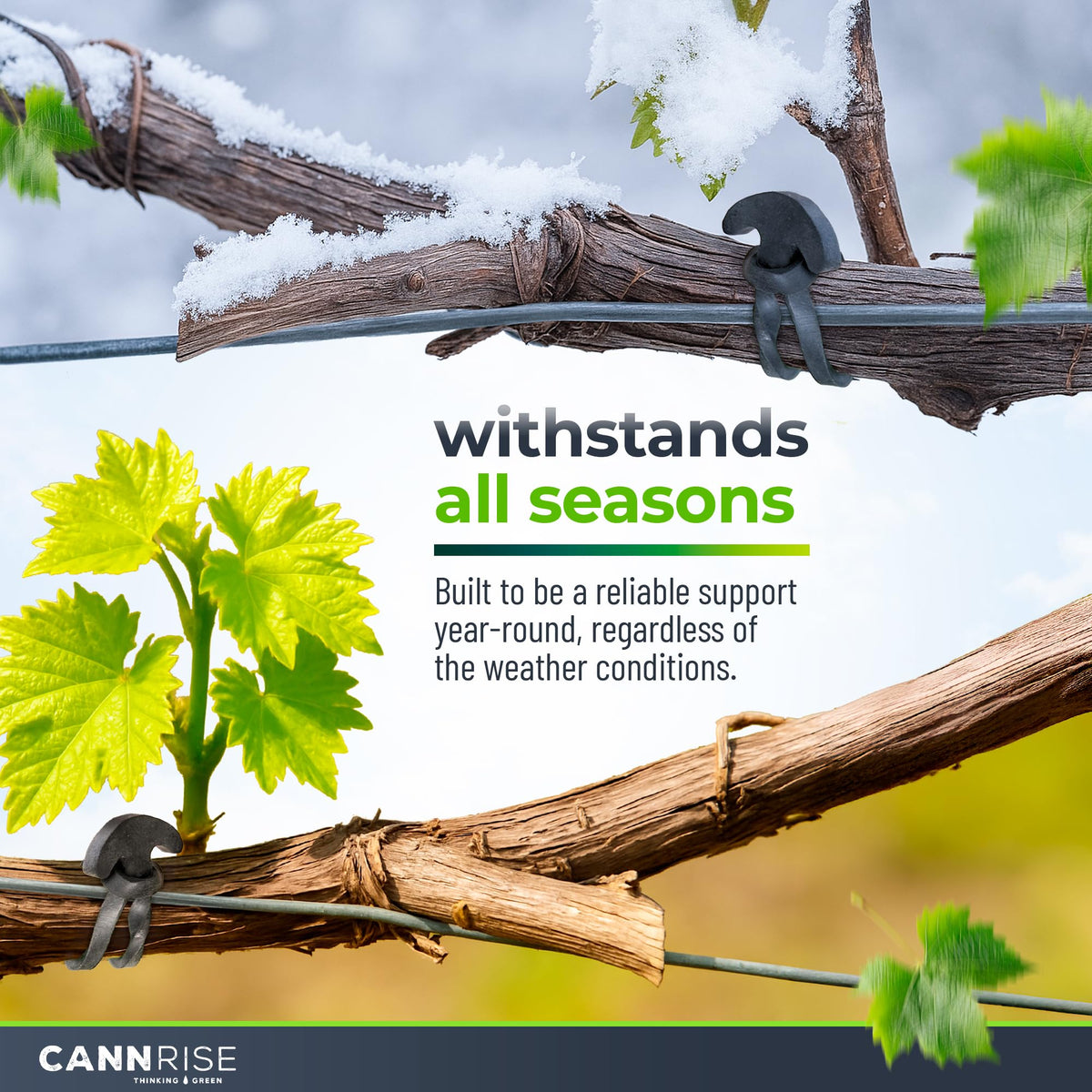 Anchor Bands for Trellising – 110-Pack 5 cm/1.96 in Rubber Vine Ties, UV-Protected Bands: Grapevines, Trees & Climbing Plants – Tool-Free Loop-and-Anchor Design for Install, Weatherproof