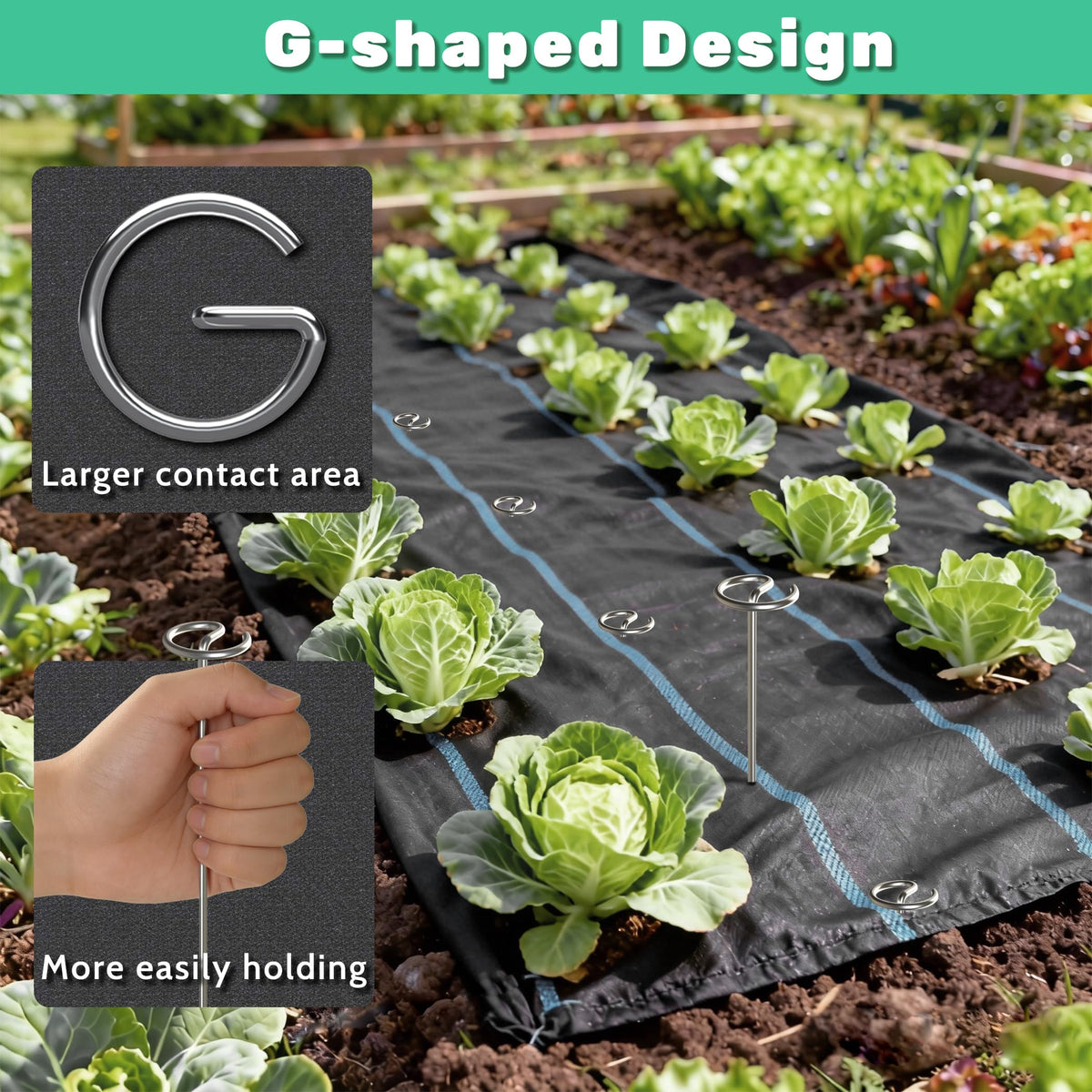 12 Inch 8 Gauge Circle Top Landscape Fabric Staples, HKKZYT 50 Pcs Galvanized Landscape Fabric Pins, Gardening Essentials Garden Weed Barrier Stakes Sod Staples for Outdoor